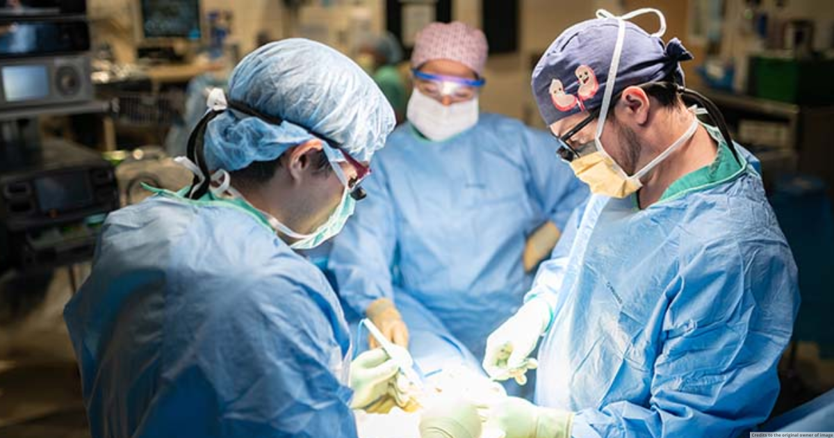 Study finds pediatric kidney transplant patients fare better when organ is from live donor